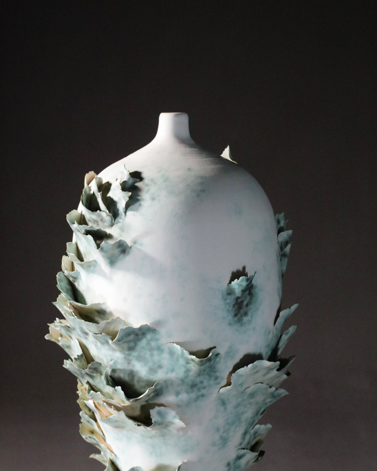 Canopy Collection - Fungi Vase 4