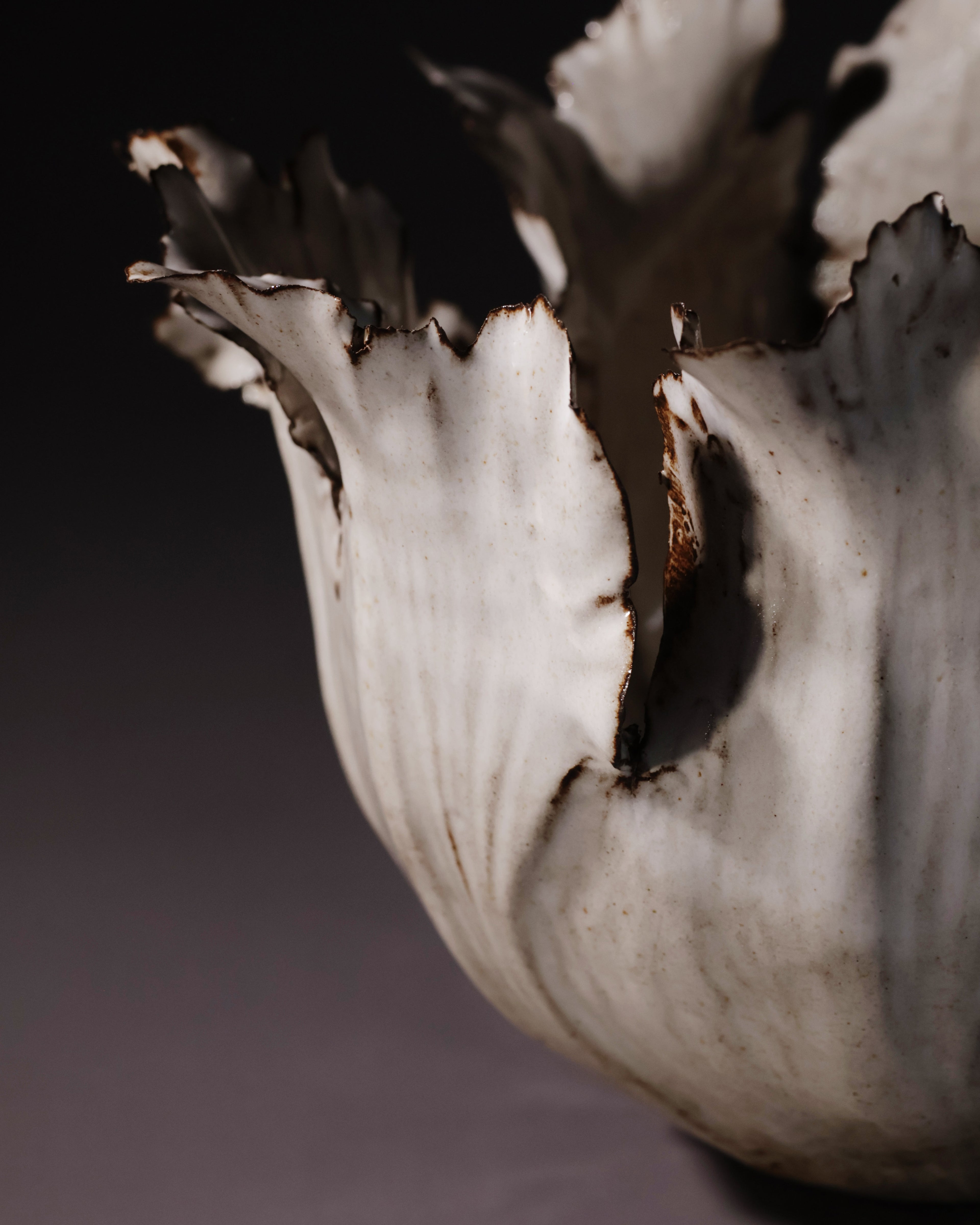 Cocoon Collection - Sculpture 1