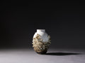 Canopy Collection - Mushroom Vase 2