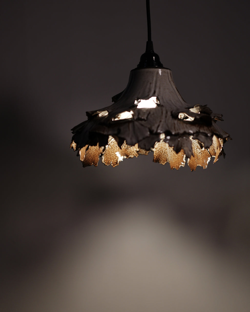 Canopy Collection - Hanging Lamp 3