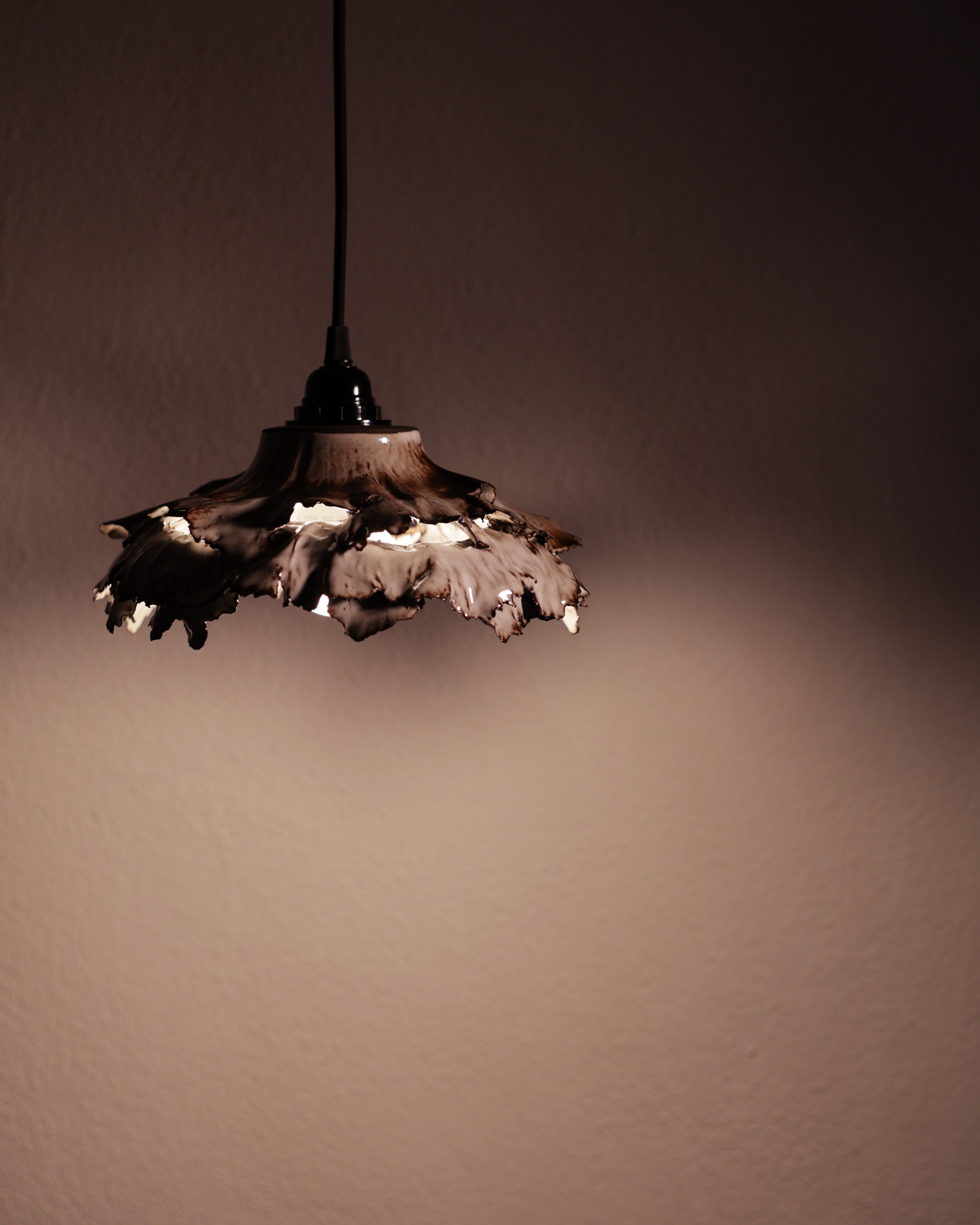 Canopy collection - Hanging lamp 1