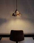 Canopy Collection - Hanging Lamp 3