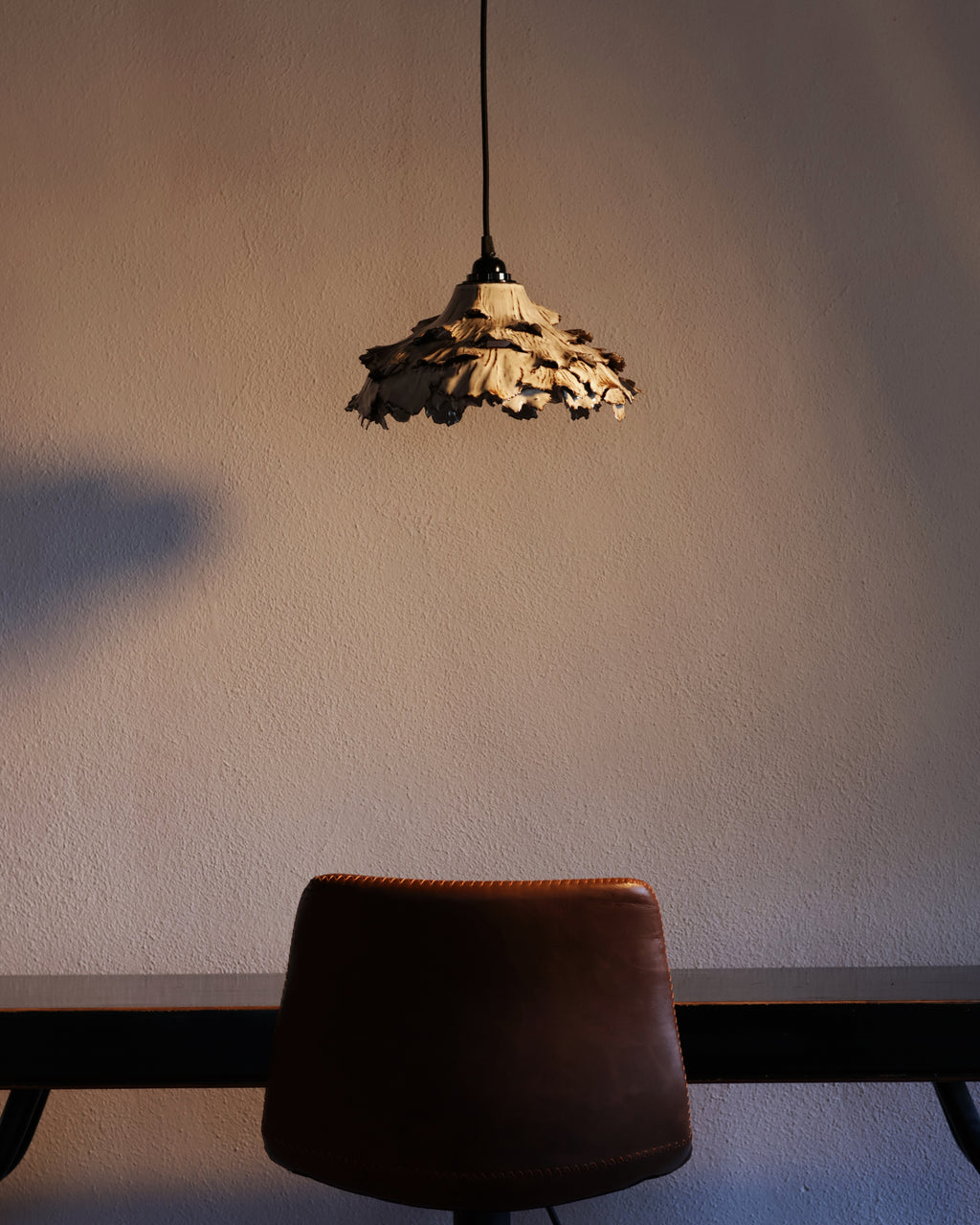 Canopy Collection - Hanging Lamp 2