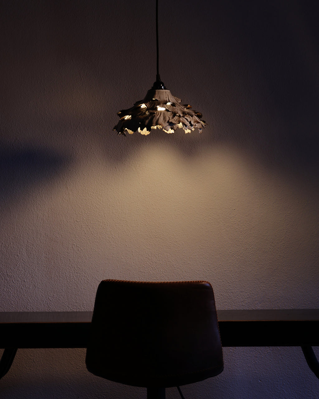 Canopy Collection - Hanging Lamp 2