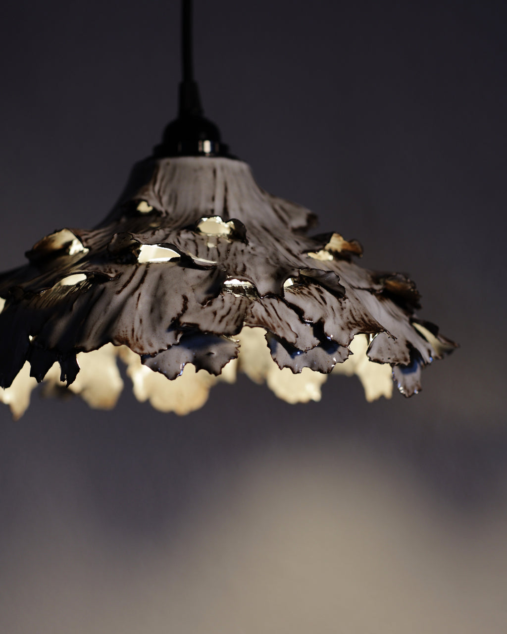 Canopy Collection - Hanging Lamp 2