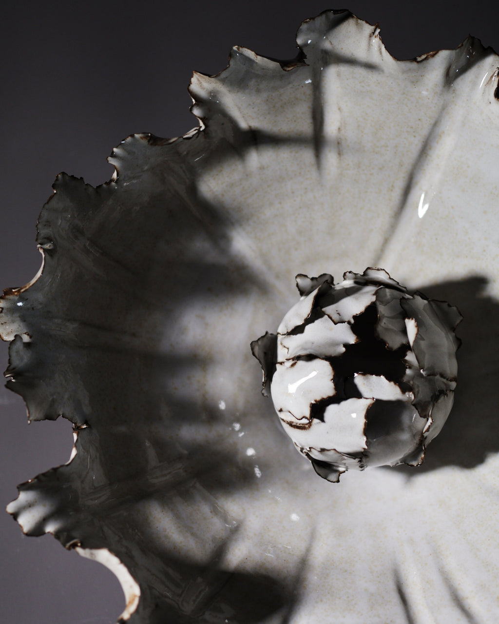 Canopy Collection - Unfurl Sculpture