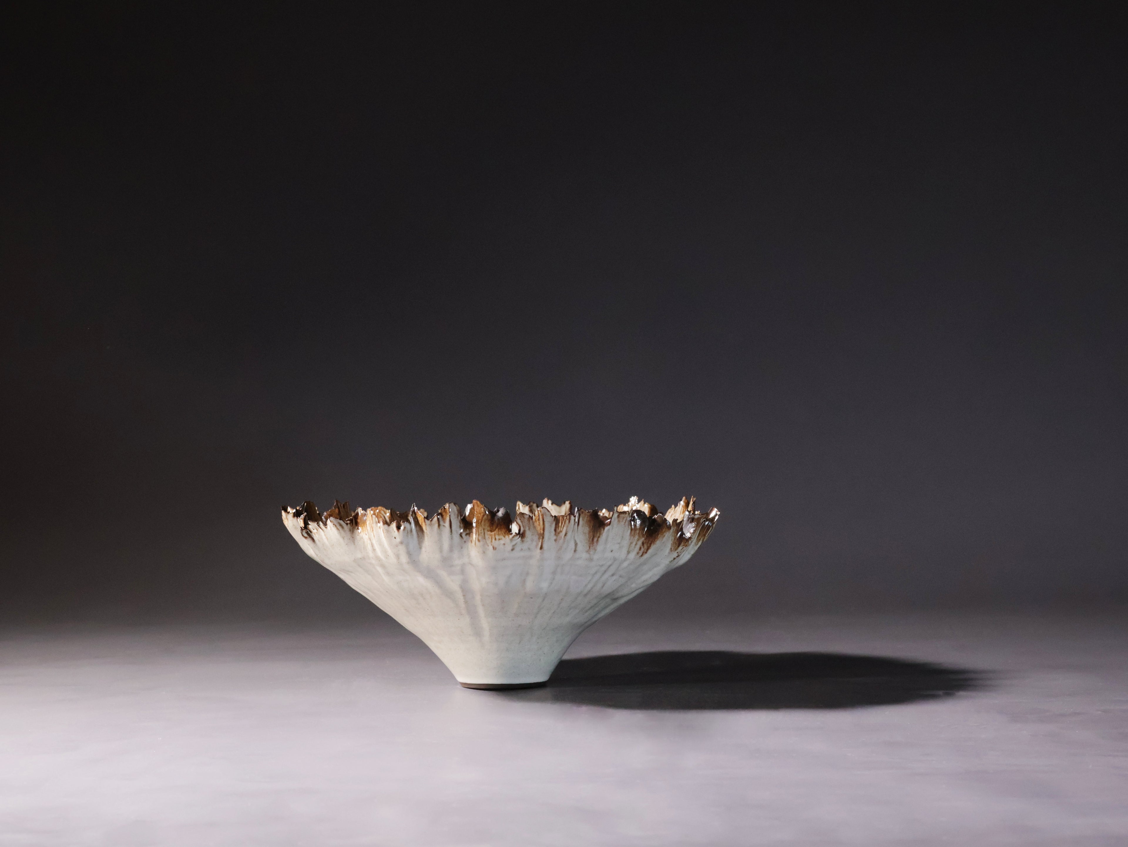 Canopy Collection - Leaf Rimmed Sculpture 5