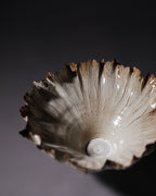 Canopy Collection - Leaf Rimmed Sculpture 5