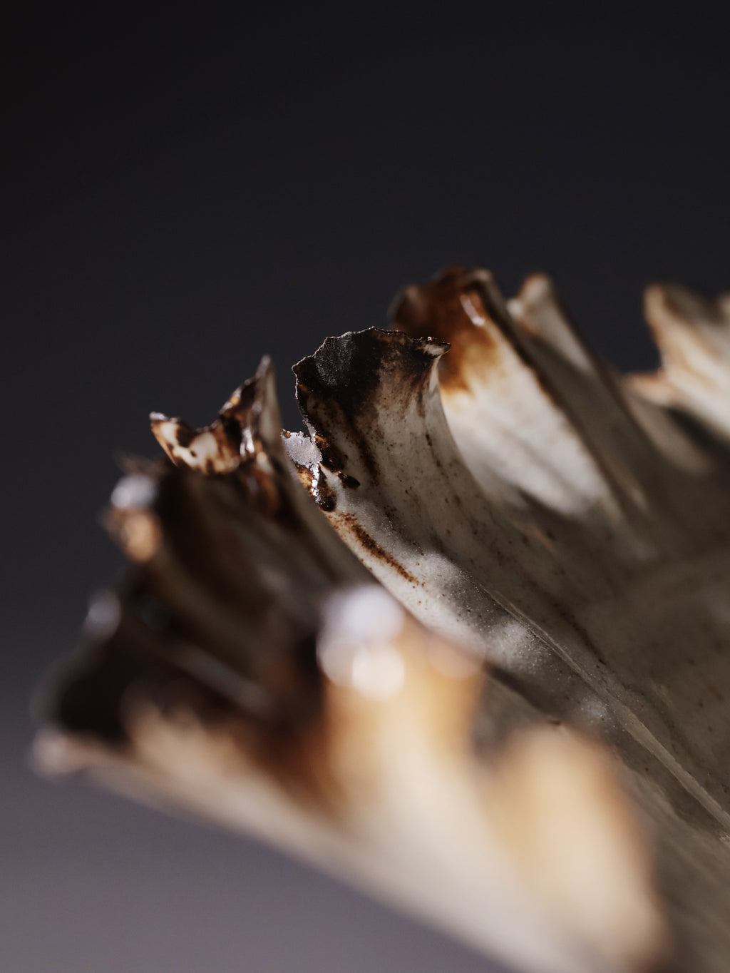 Canopy Collection - Leaf Rimmed Sculpture 6