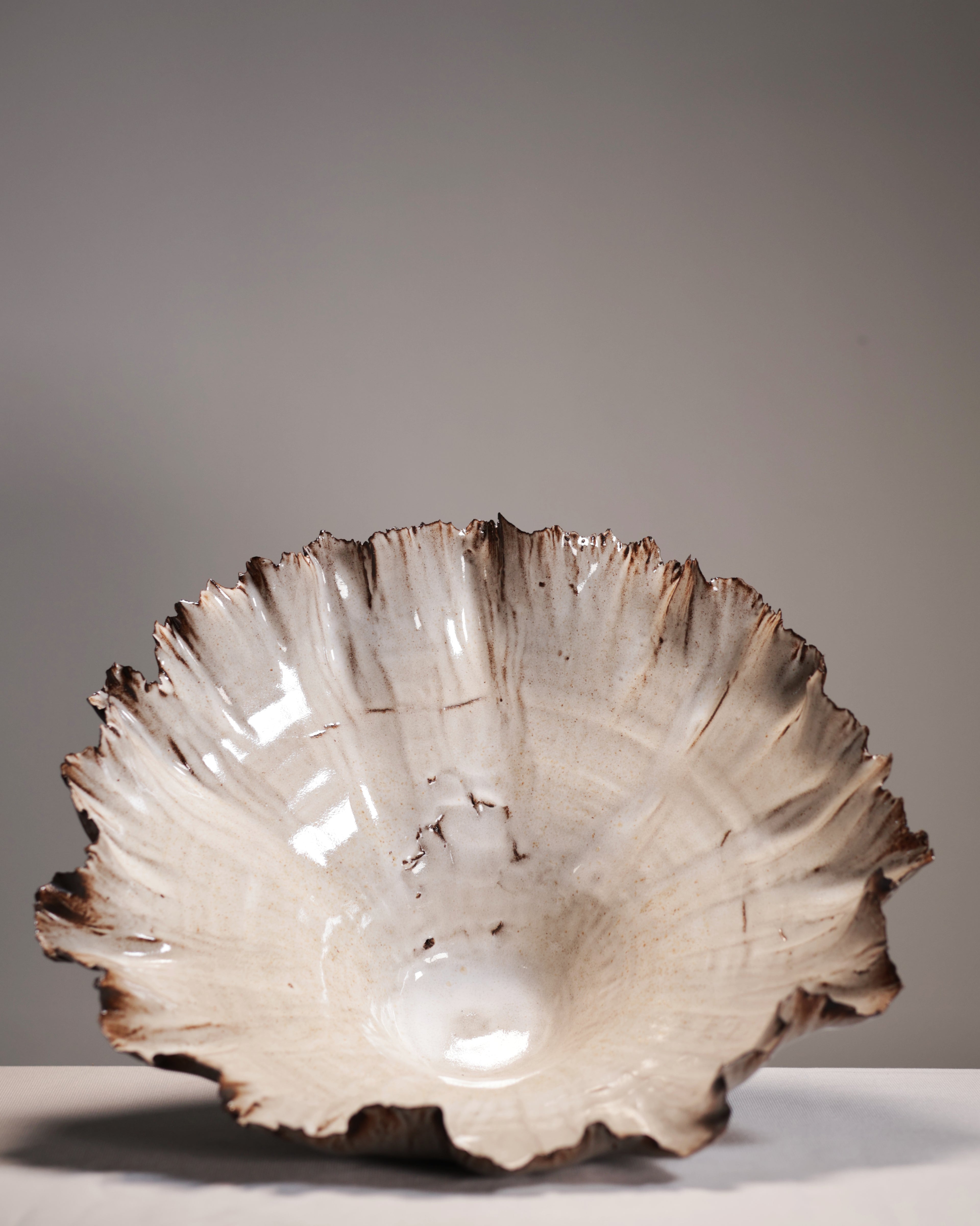 Decorative ceramic bowl with a scalloped edge on a neutral background