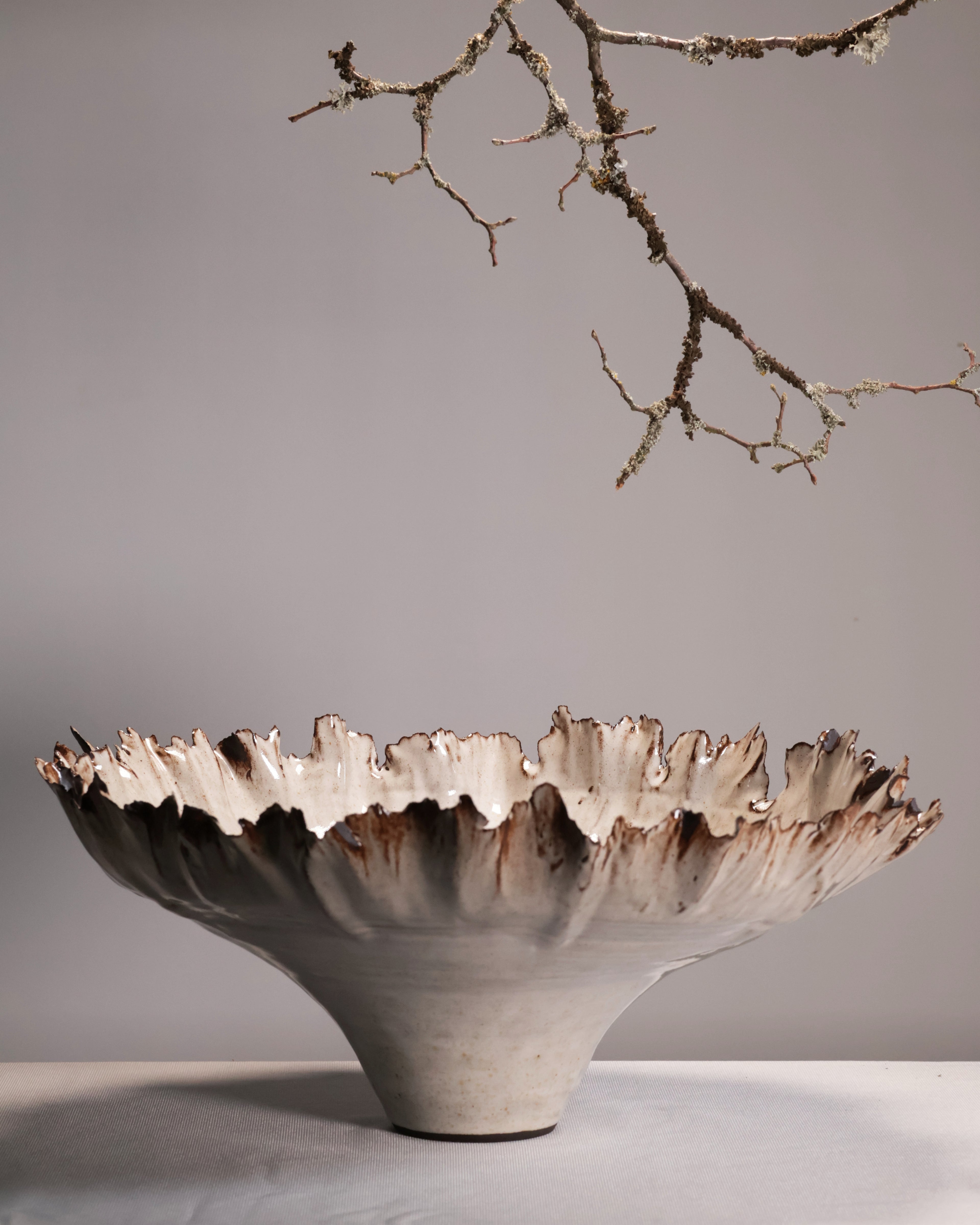 Ceramic bowl with textured surface on a neutral background